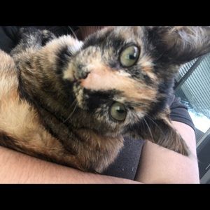 Meet your Posher, Jazmine